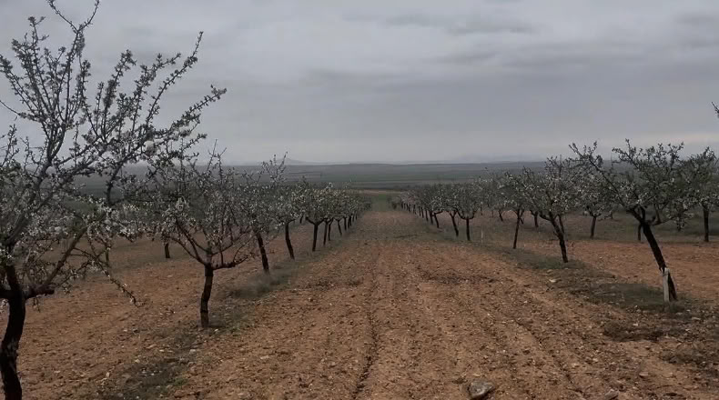 Toledo - Villacañas - 76000m2
