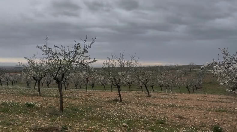 Toledo - Villacañas - 76000m2