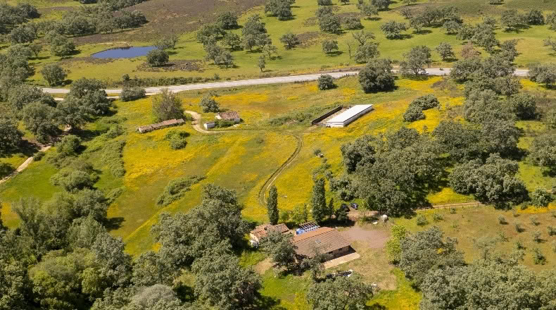 Cáceres - Robledillo de la Vera - 40000m2