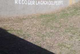 Ingenio 164&nbsp;m² 