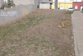 Ingenio 164&nbsp;m² 