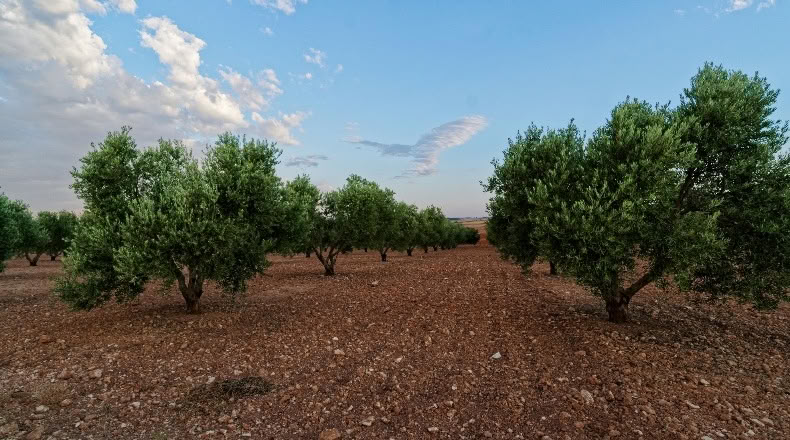 Cuenca - Villaescusa de Haro - 2500000m2