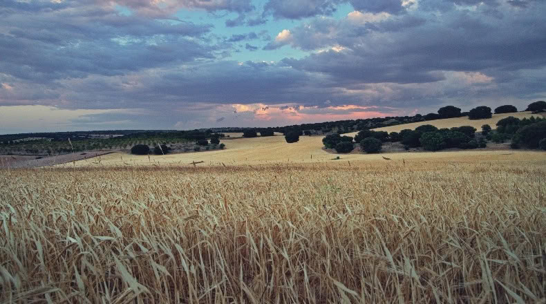 Cuenca - Villaescusa de Haro - 2500000m2