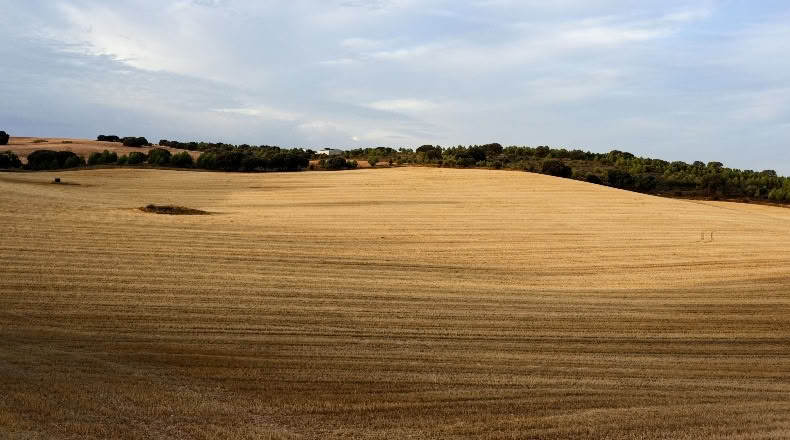 Cuenca - Villaescusa de Haro - 2500000m2