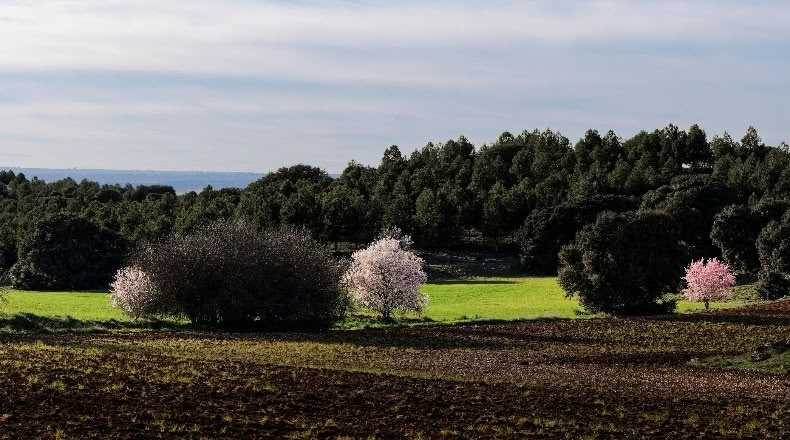 Cuenca - Villaescusa de Haro - 2500000m2