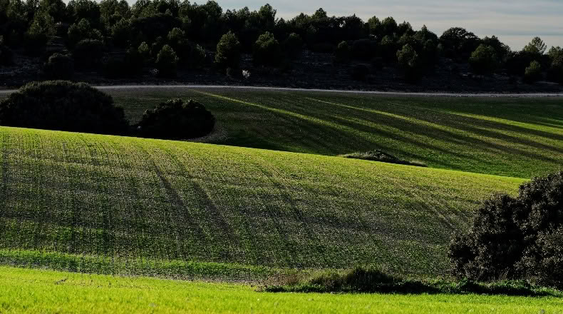 Cuenca - Villaescusa de Haro - 2500000m2