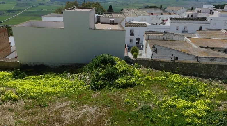 Cádiz - Medina Sidonia - 414m2