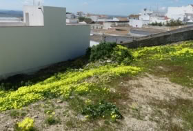Medina Sidonia 414&nbsp;m² 
