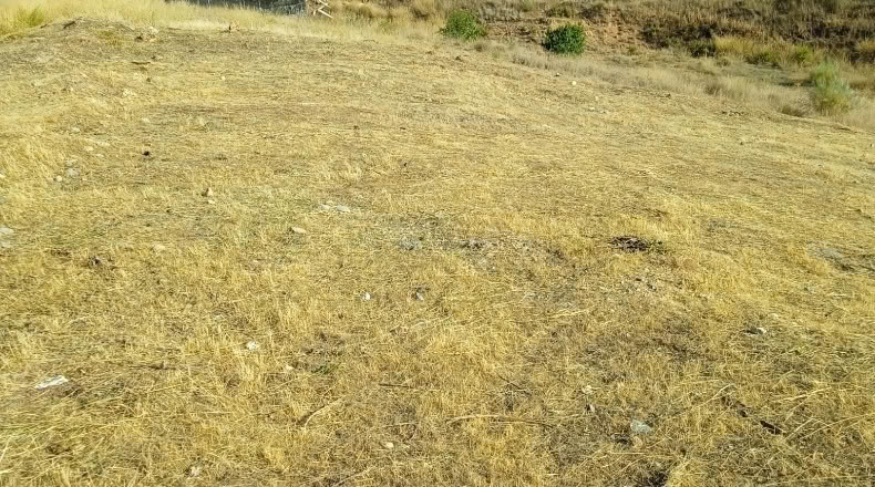 Granada - Gójar - 305m2