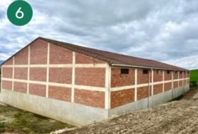 Foto 6