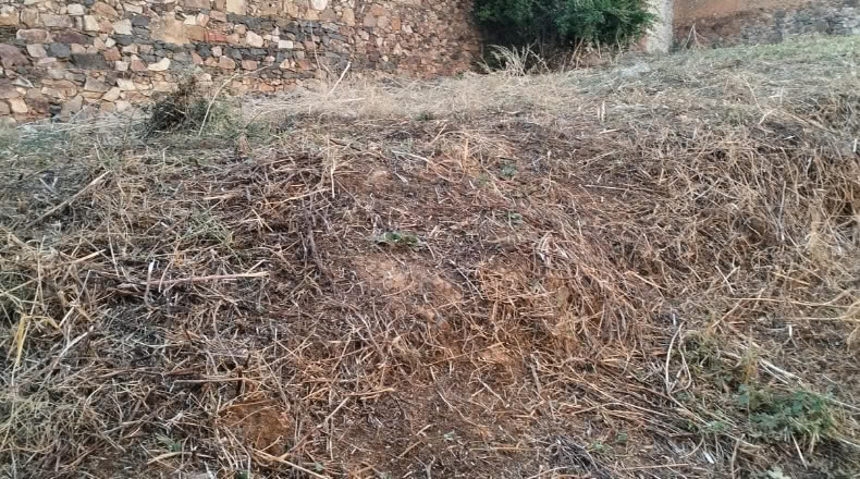 Badajoz - Puebla de Alcocer - 400m2
