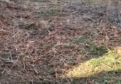Sòl urbà en venda a la Calle Santiago Apóstol, Puebla de Alcocer, ref.: TR377009 foto