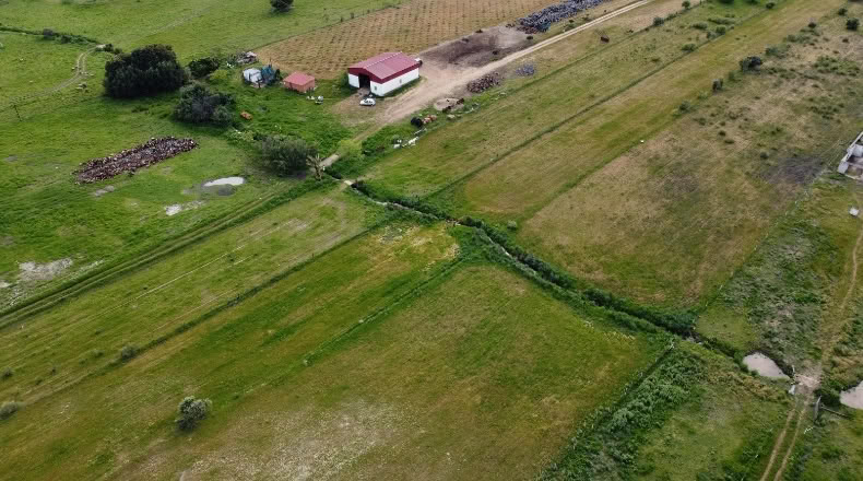 Cáceres - Alcuéscar - 60000m2