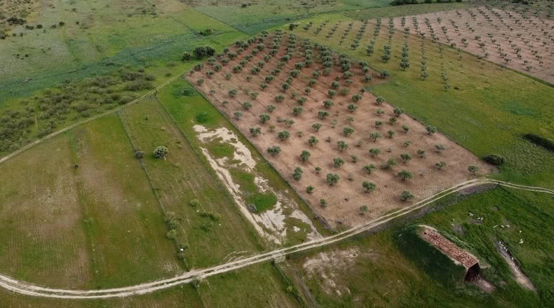 Cáceres - Alcuéscar - 60000m2