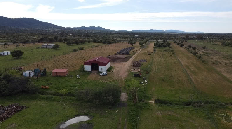 Cáceres - Alcuéscar - 60000m2