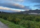Non-developable land for sale on FINCA LA ESTACADA, Pizarra, ref: TR377385 photo