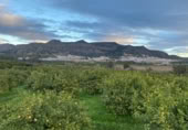 Non-developable land for sale on FINCA LA ESTACADA, Pizarra, ref: TR377385 photo