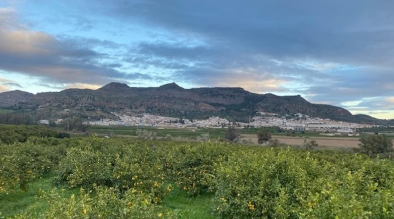 Málaga - Pizarra - 170000m2