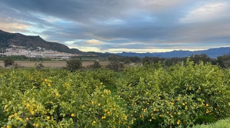 Málaga - Pizarra - 170000m2