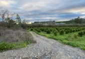 Non-developable land for sale on FINCA LA ESTACADA, Pizarra, ref: TR377385 photo