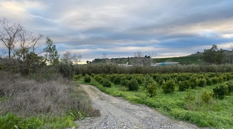 Málaga - Pizarra - 170000m2