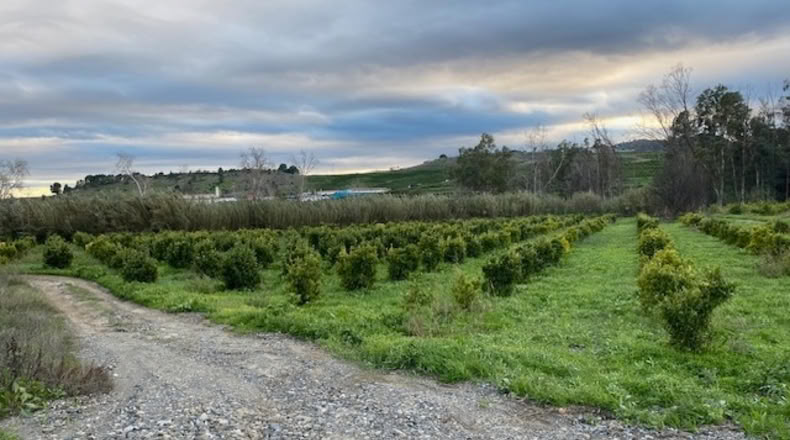 Málaga - Pizarra - 170000m2