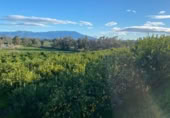 Non-developable land for sale on FINCA LA ESTACADA, Pizarra, ref: TR377385 photo