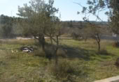 Suelo urbano en venta en la Calle el Limonero, Cheste, ref: TR377369 foto