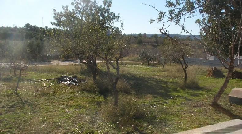 Valencia - Cheste - 1050m2