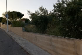 Cheste 1050&nbsp;m²