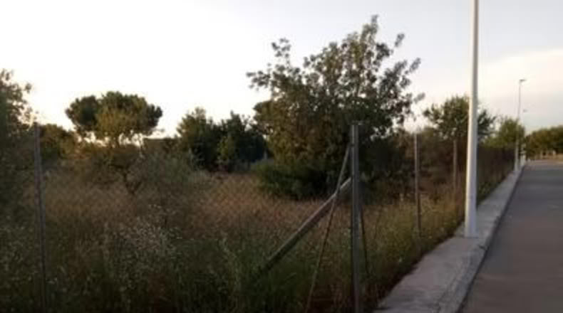 Valencia - Cheste - 1050m2