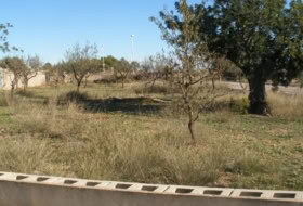 Cheste 1050&nbsp;m²