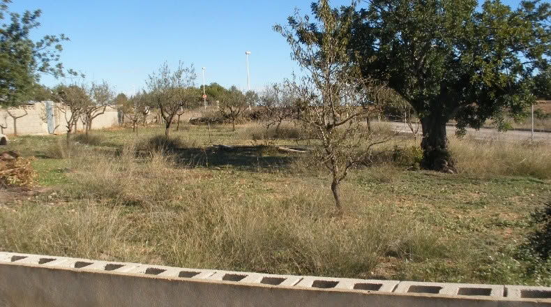 Valencia - Cheste - 1050m2