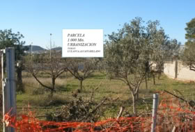 Cheste 1050&nbsp;m²