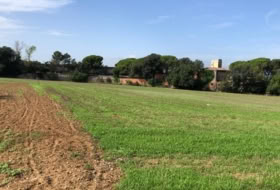 Fornells de la Selva 5675&nbsp;m² 