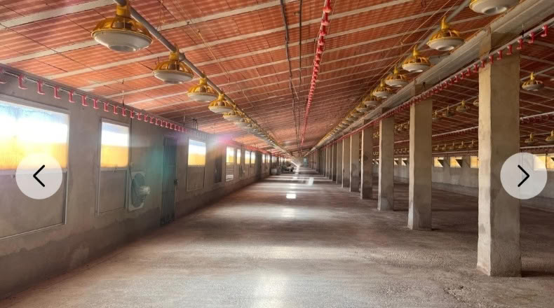 València - Andilla - 4300m2