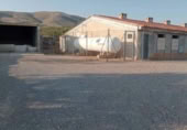 Granja en venta en la Camino de Villar del Arzobispo a Alcublas, Andilla, ref: TR378079 foto