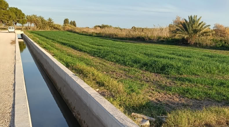 Alicante - Catral - 4500m2