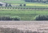 Parcel·la urbanitzable en venda a la PARAJE ALHORINES, Villena, ref.: TR378549 foto