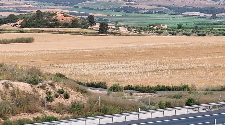 Alicante - Villena - 107000m2