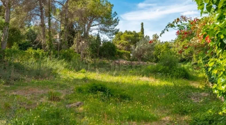 Islas Baleares - Alcúdia - 747m2