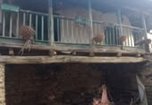 Casa de camp amb terreny en venda a la Soldon de Seara village, Quiroga, ref.: TR379140 foto