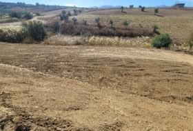 Cártama 2770&nbsp;m² 