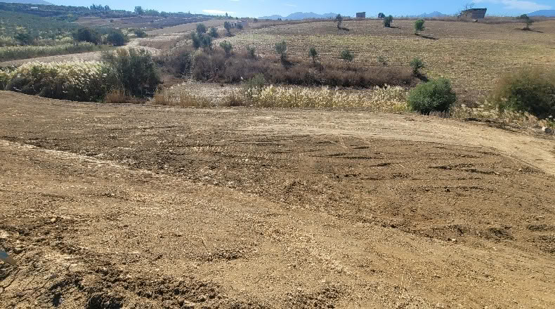 Málaga - Cártama - 2770m2