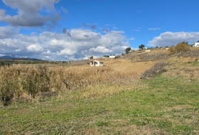 Cártama 2770&nbsp;m² 