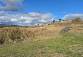Finca rústica en venda a Cártama ref.: TR378702 foto