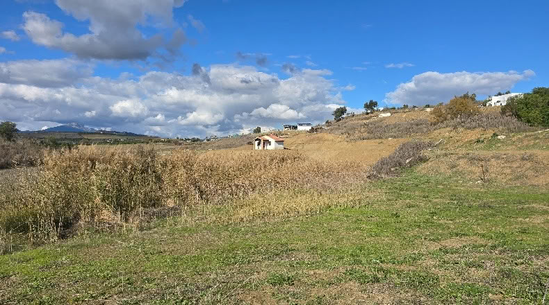 Málaga - Cártama - 2770m2