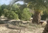 Suelo urbano en venta en la Las Yeseras, Alguazas, ref: TR379056 foto