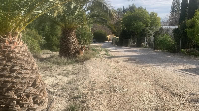 Murcia - Alguazas - 700m2