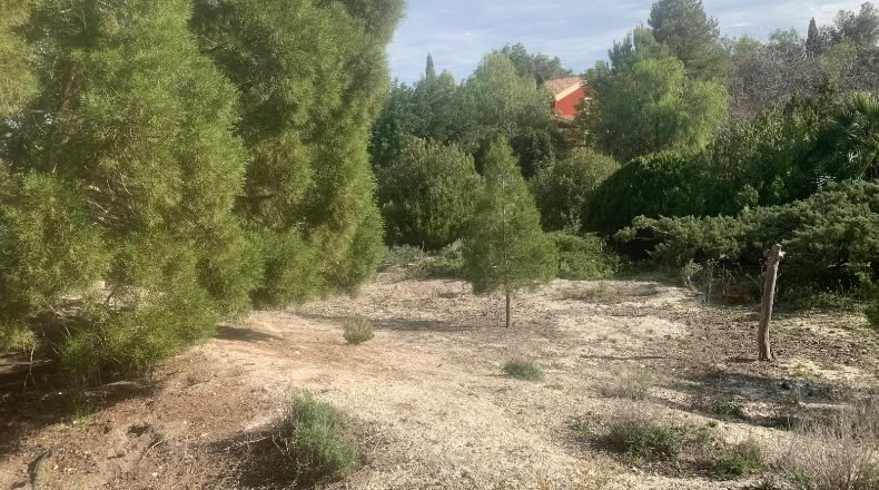 Murcia - Alguazas - 700m2